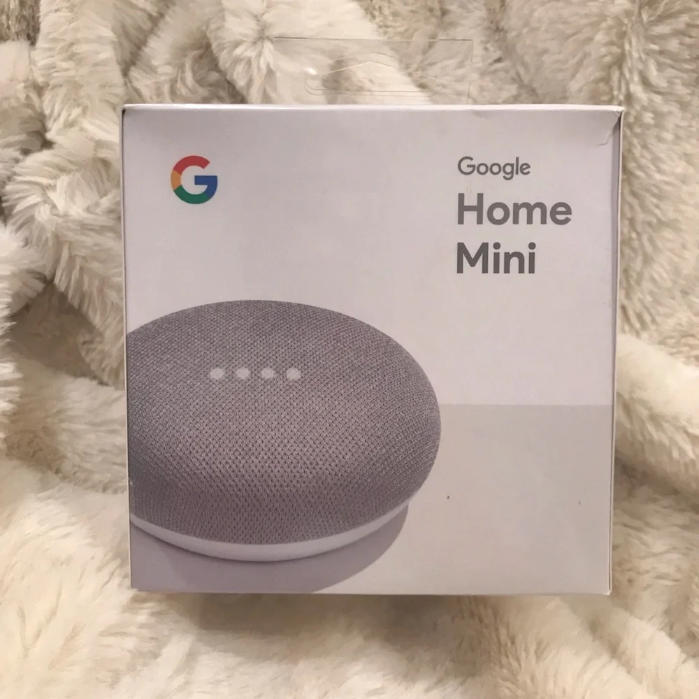 Google Home Mini Assistant