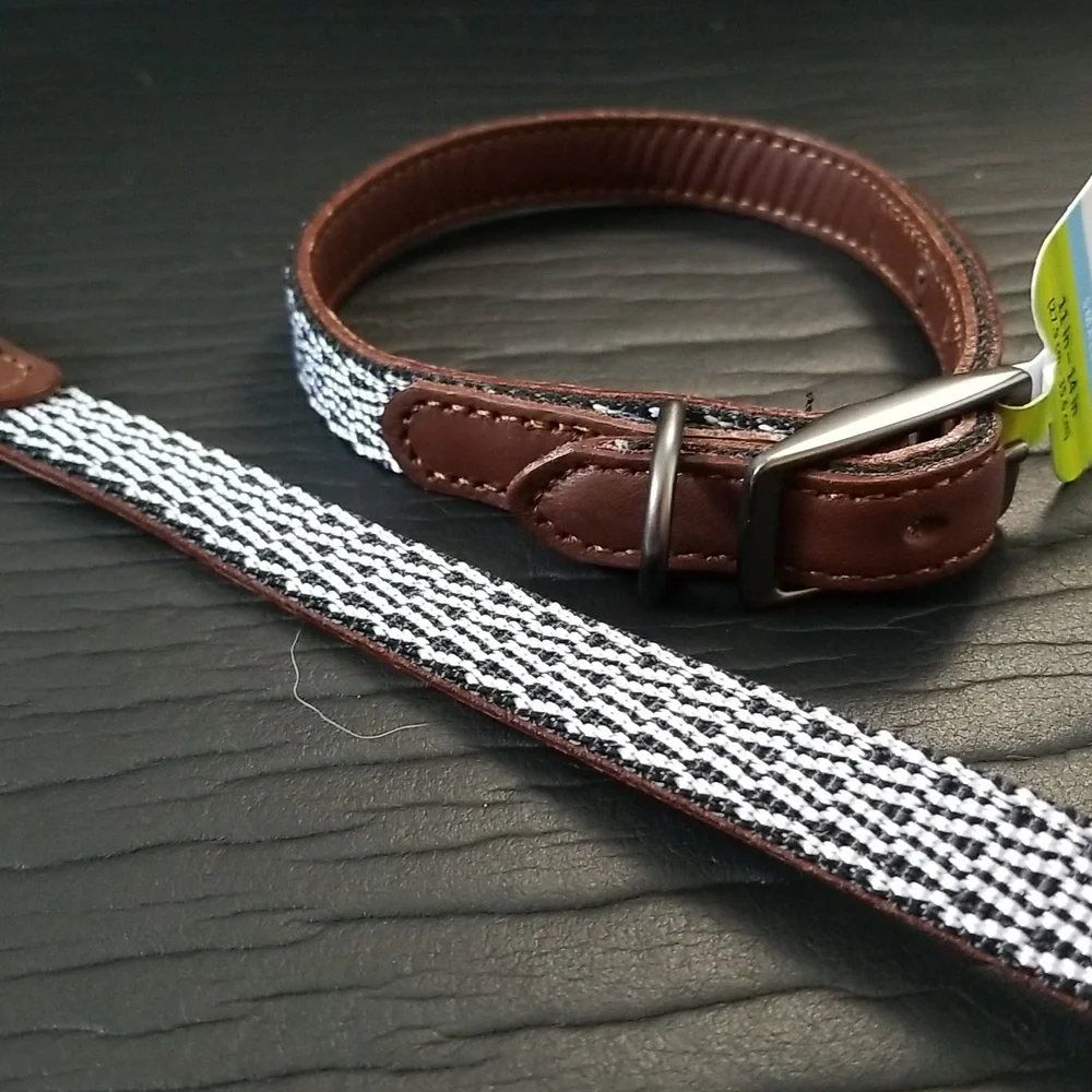 Top Paw leather collar