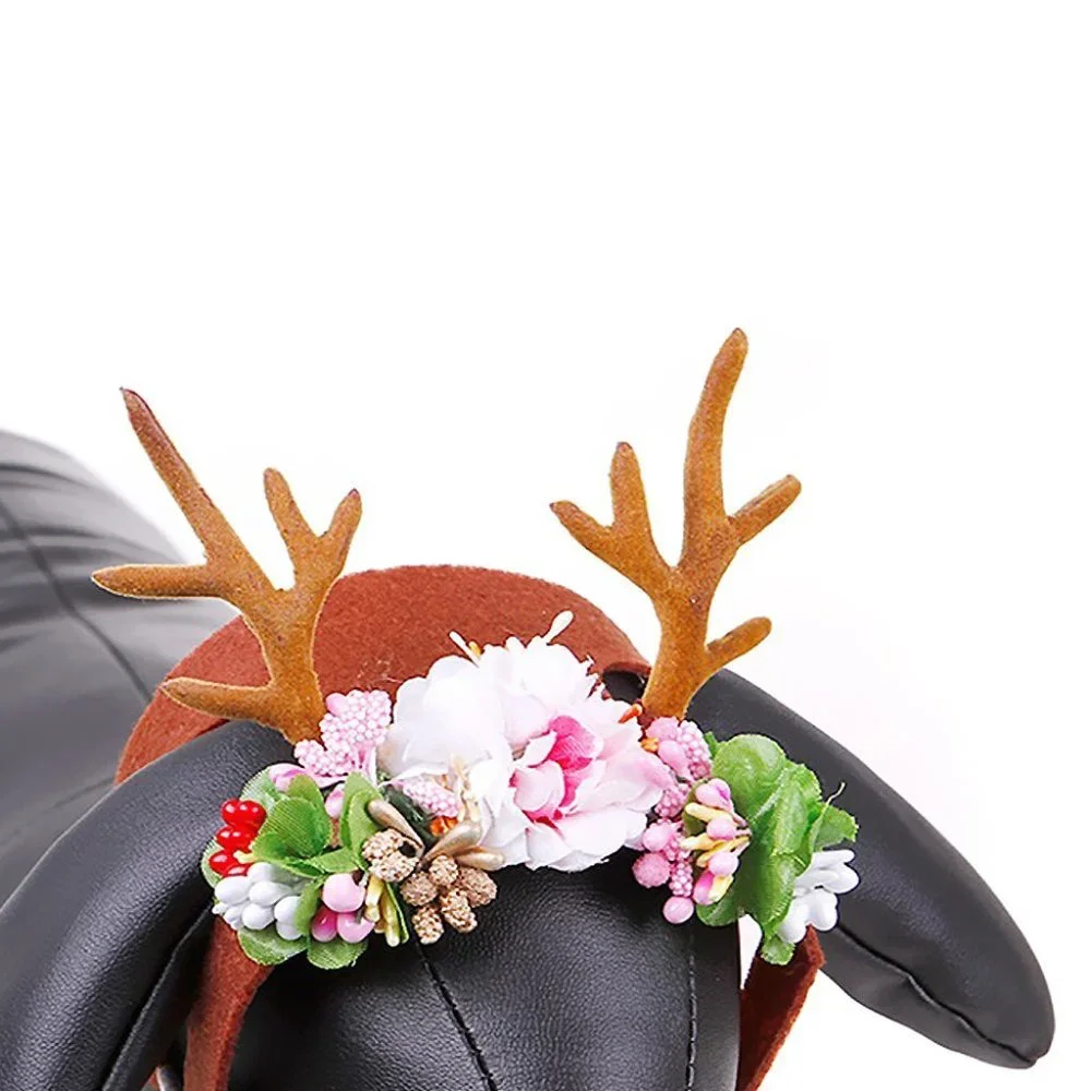 Diona J pet elk
