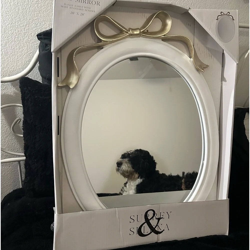 Brand new bow mirror