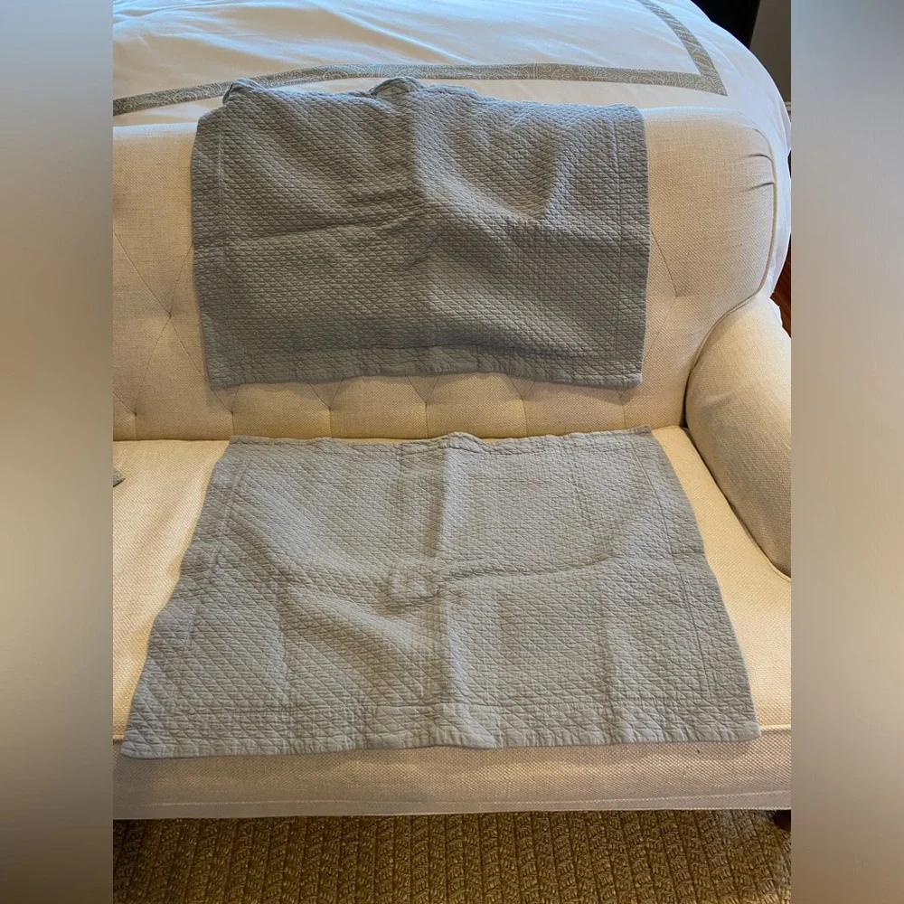 Restoration Hardware pillow shams. Two. Used.