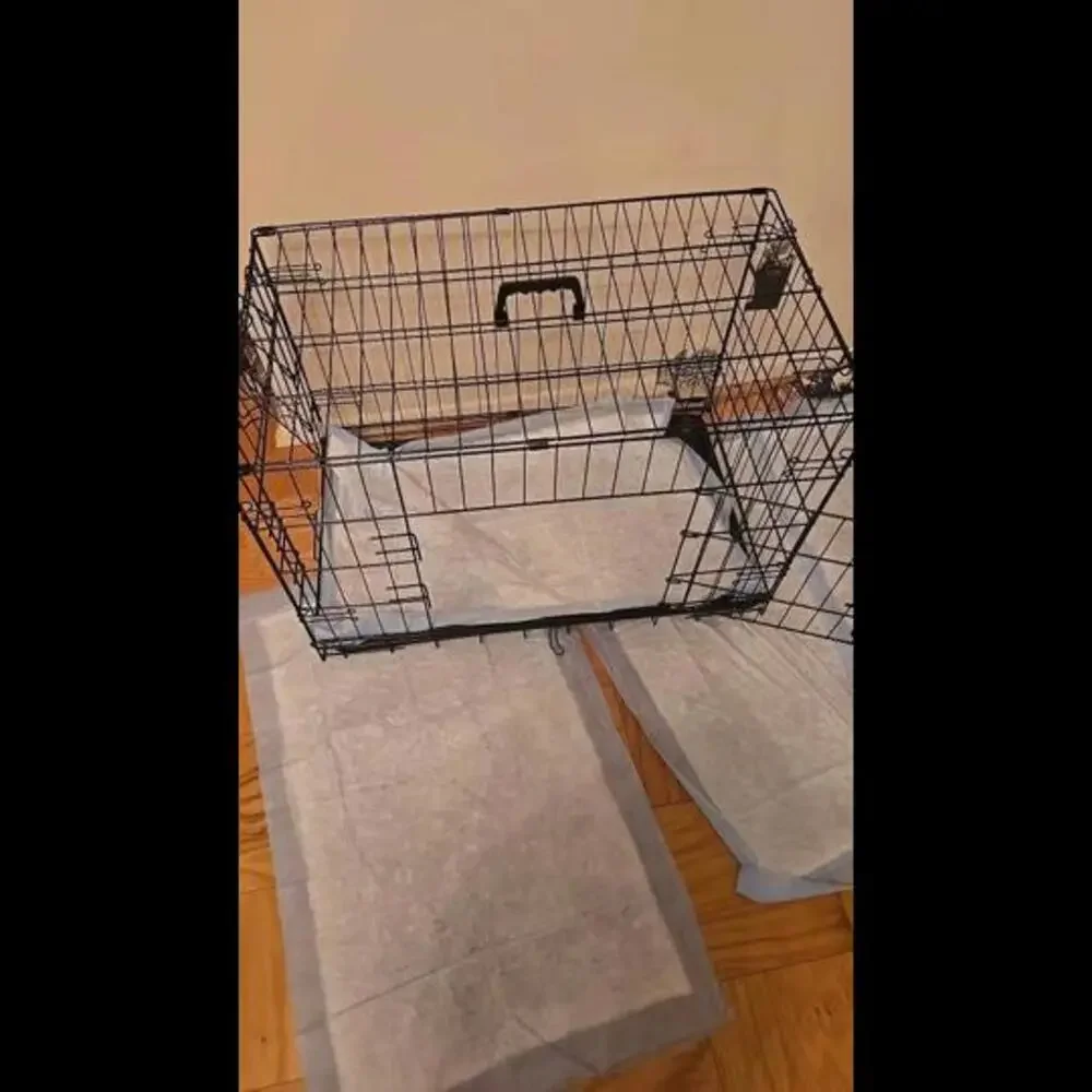 Double Door Folding Metal Wire Dog Cage with Plastic Leak-Proof Pan Tray