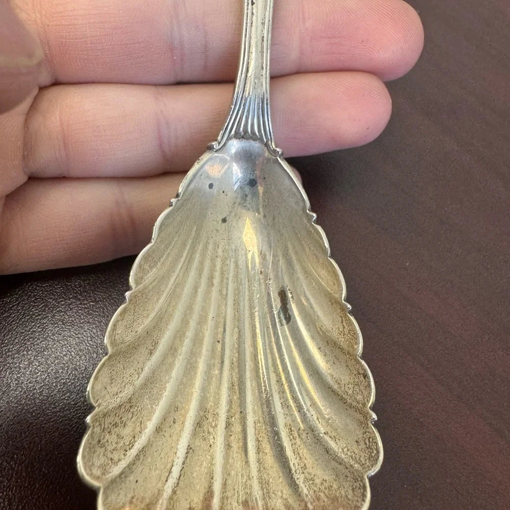 Antique Tiffany & Co French Renaissance Style Sterling silver sugar shell spoon