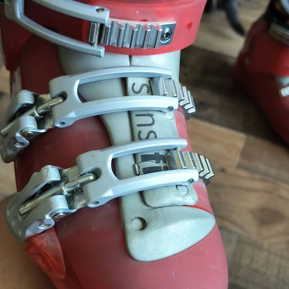 Salomon red ski