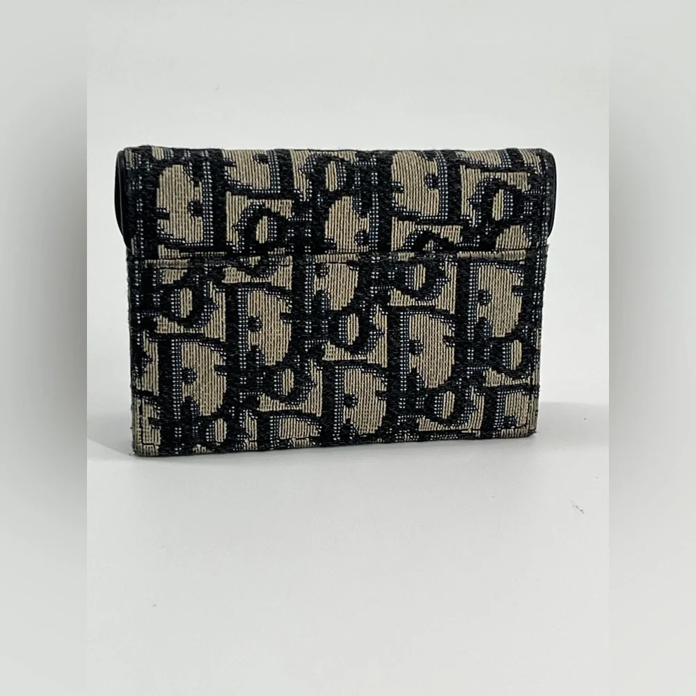 Dior cristian oblique