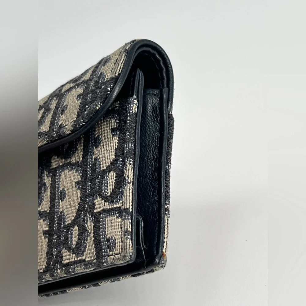 Dior cristian oblique