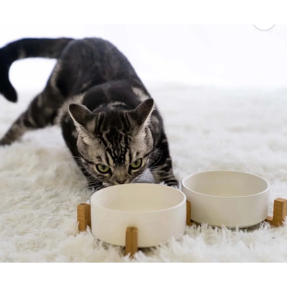 Ecopets new ceramic