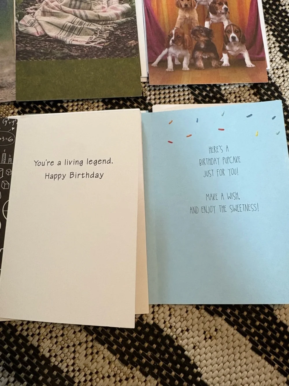 American Greetings $4 birthday animal