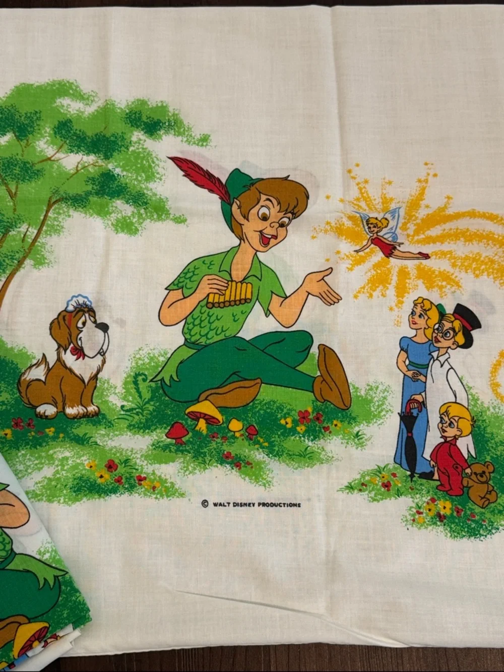 VINTAGE DISNEY PETER PAN PILLOW CASES SET 2 TINKERBELL COLLECTIBLE TWO SIDED