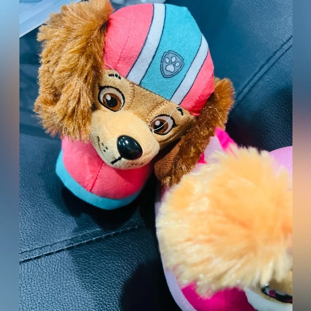Paw Patrol paw patrol