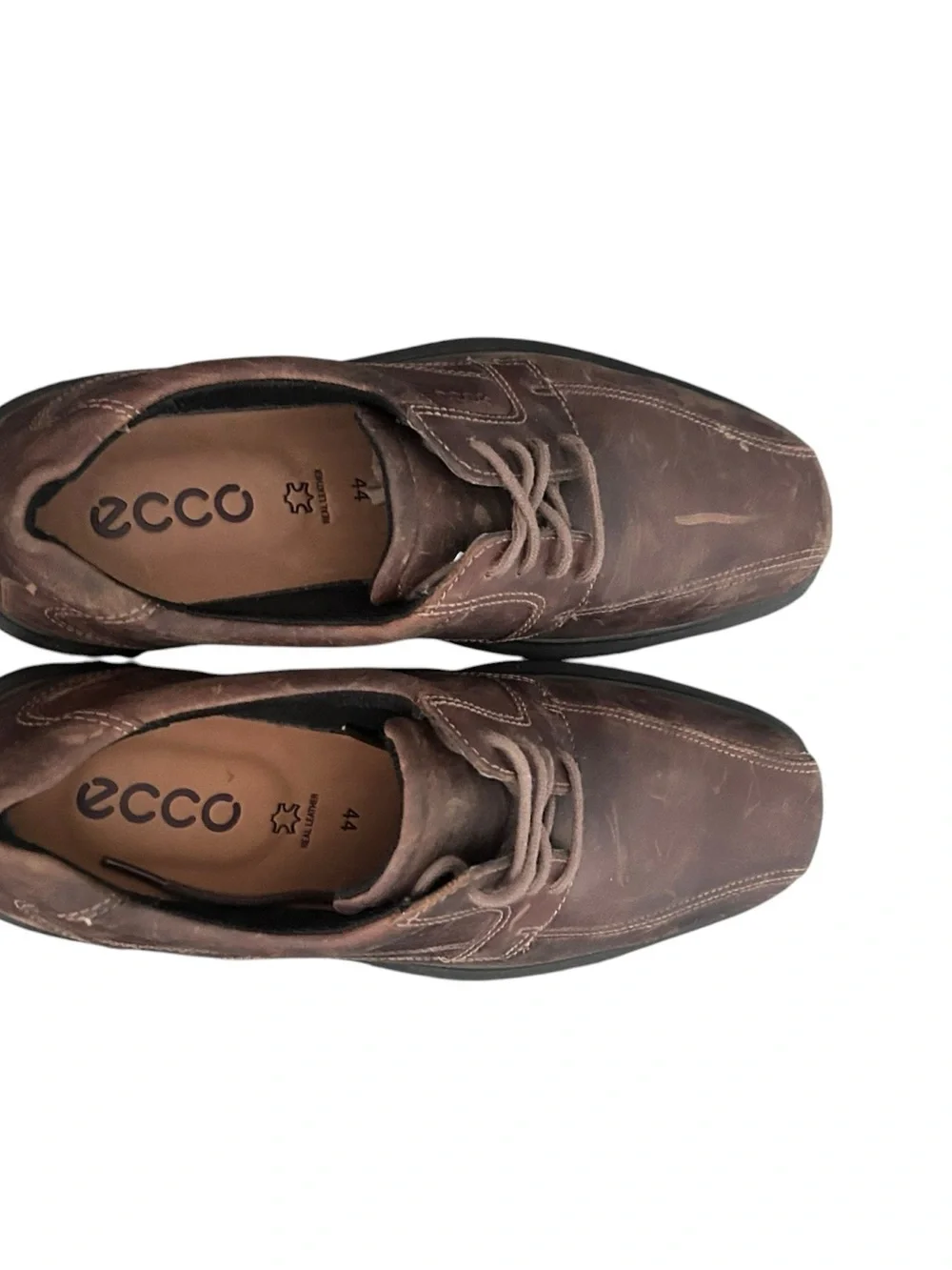 Ecco good pre