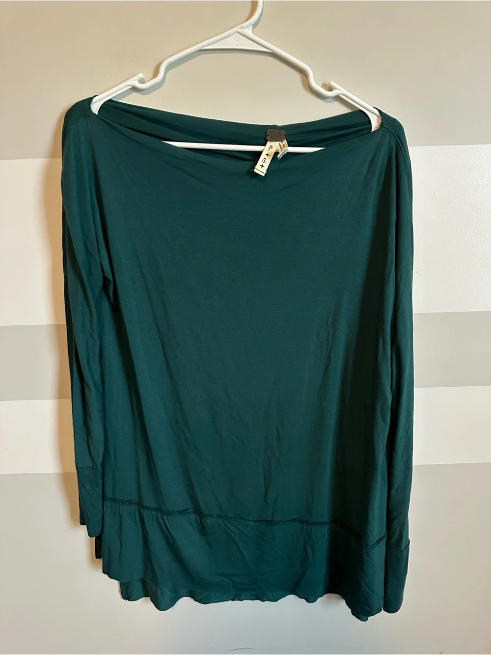 Free People We the Free emerald Luna tunic top