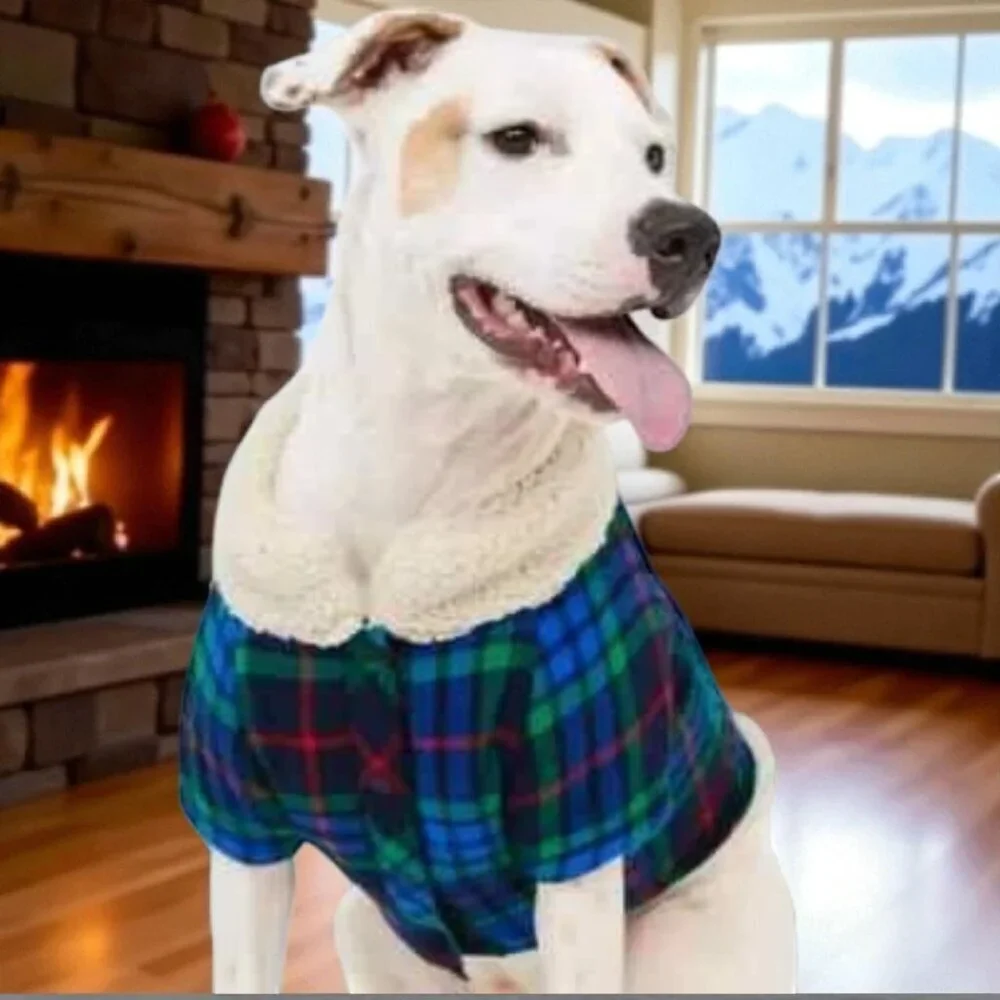NEW!!! AERIE Dog Flannel Shirt - Size Large