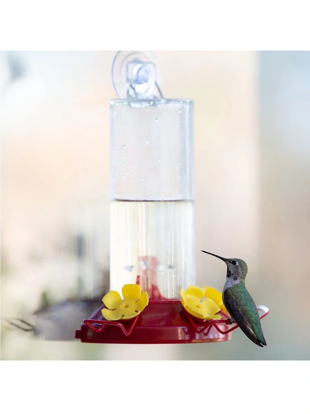 Perky-Pets attract hummingbirds