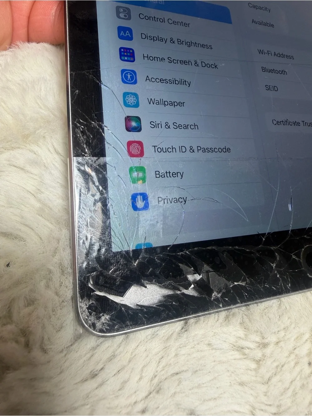 Apple Ipad Air 2 64 gb (cracked screen )