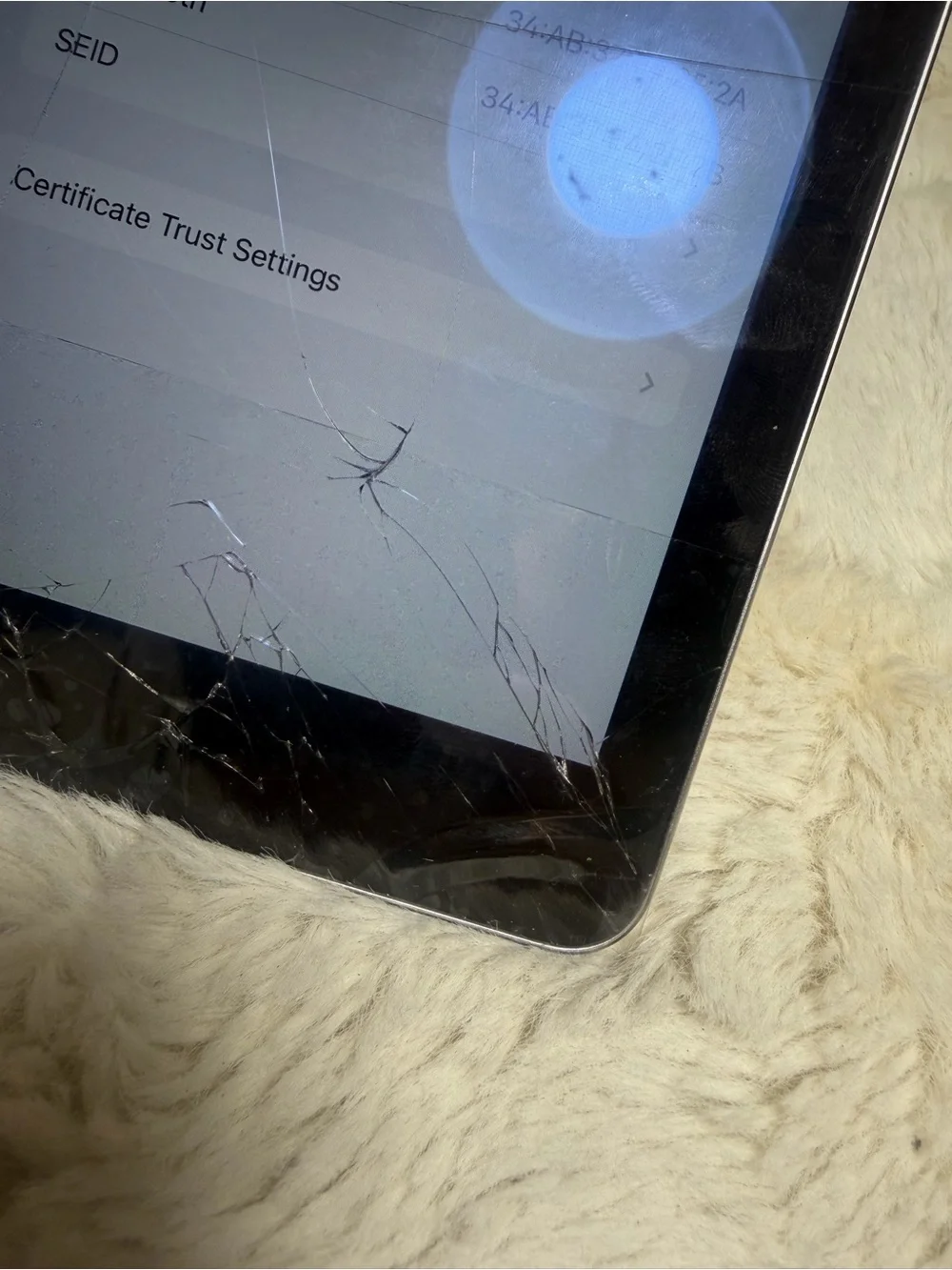 Apple Ipad Air 2 64 gb (cracked screen )