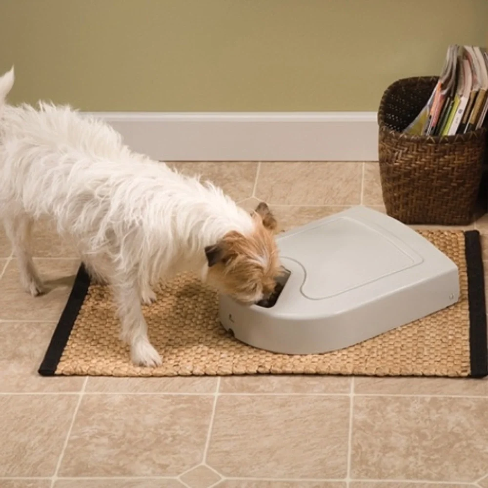 PetSafe five system