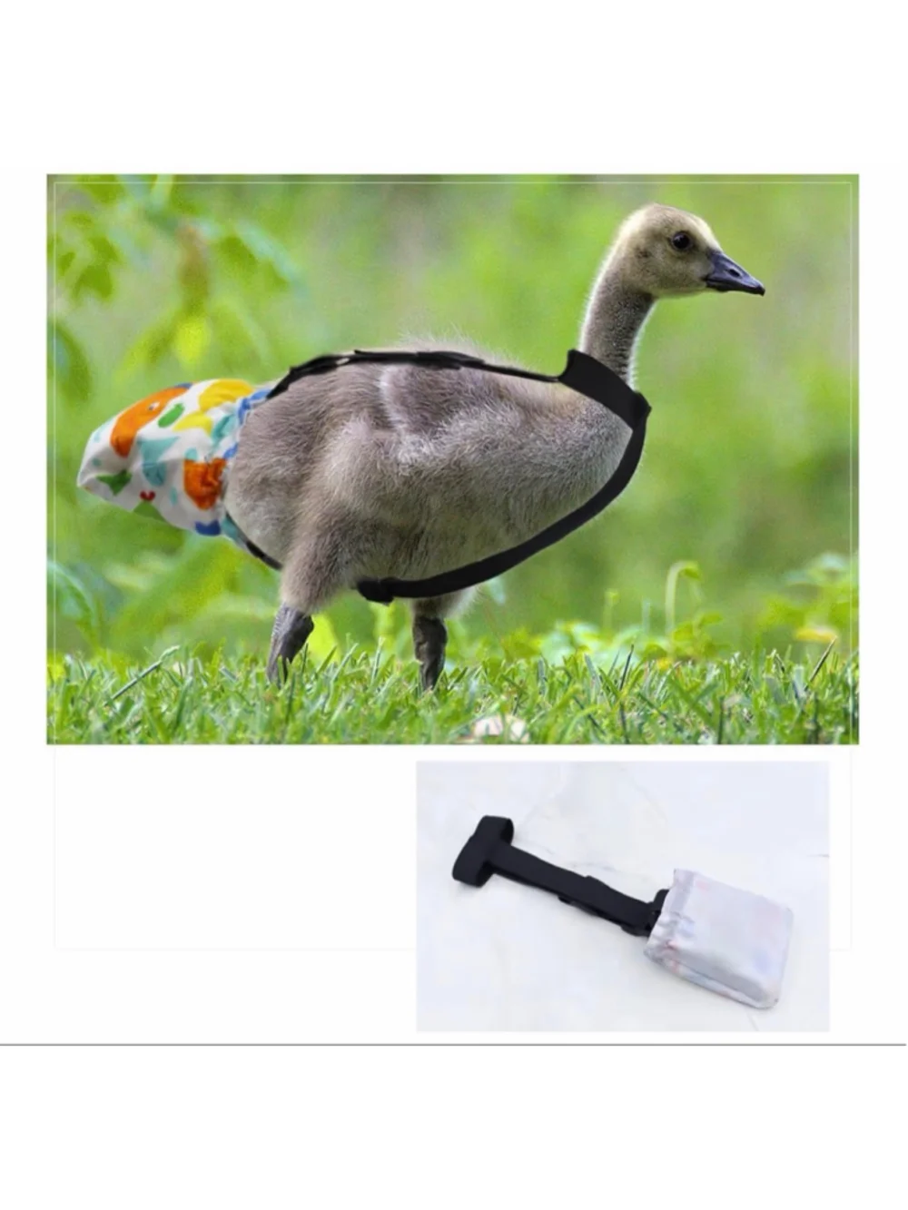 Unbranded new duckling