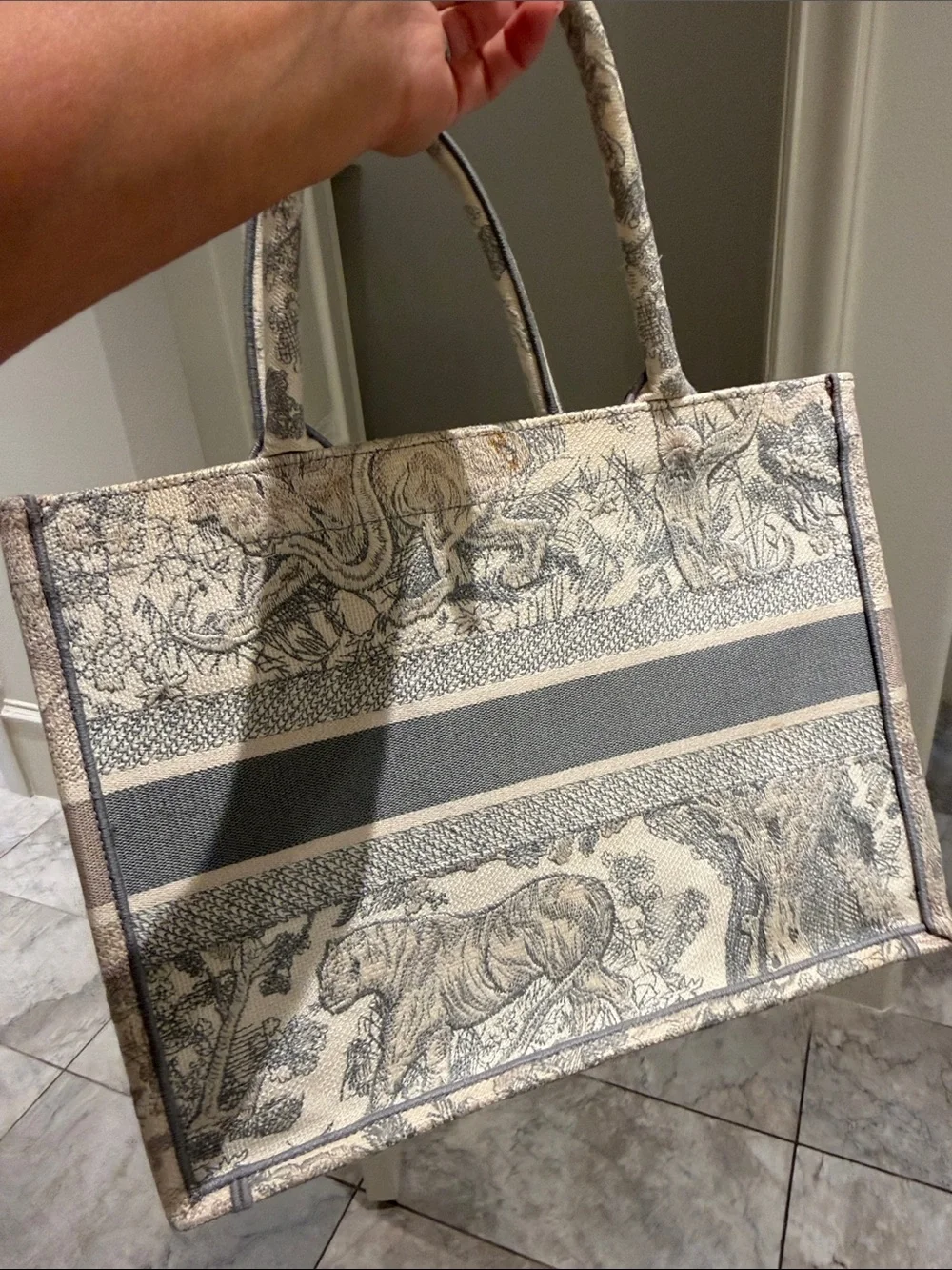 Dior iconic christian
