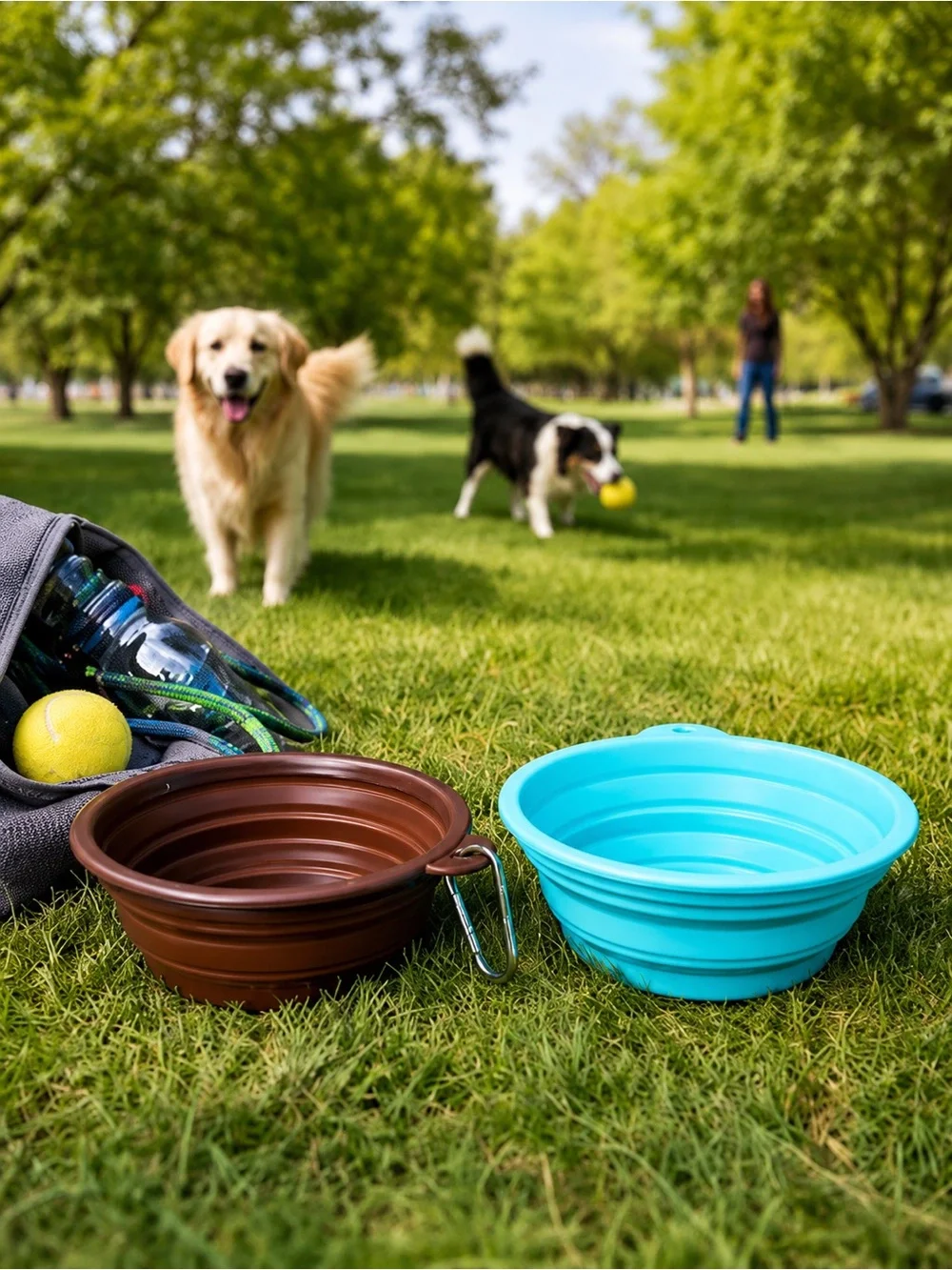 Collapsible Pet Travel Bowls Set 2 Dog Cat Food Water Portable NWT