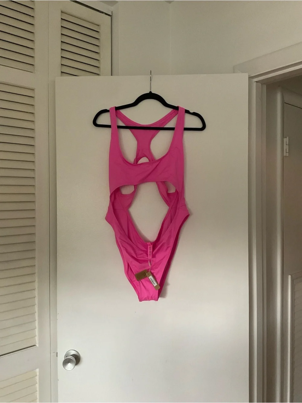 NWT skims signature cut out Monokini