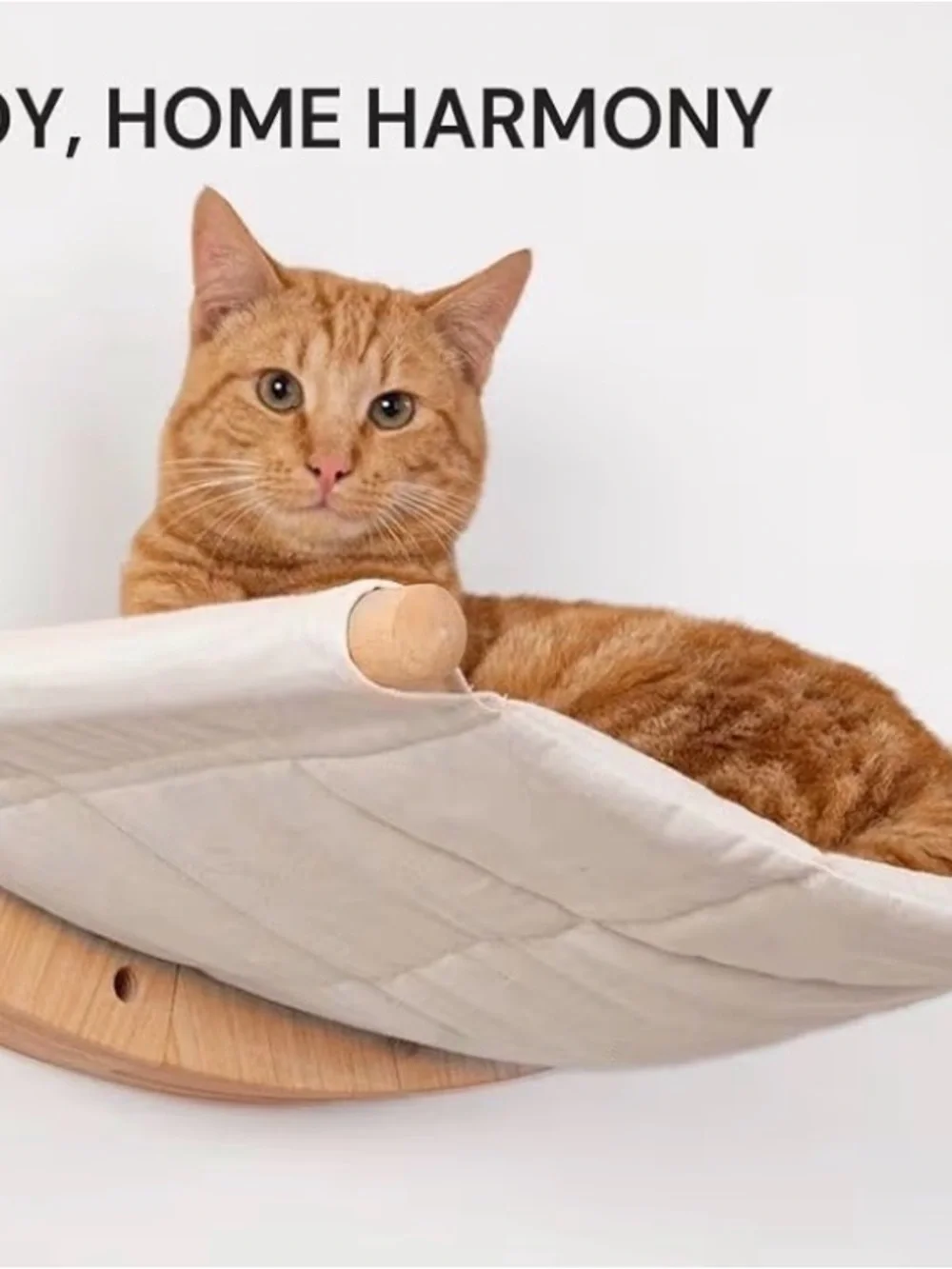 7 Ruby Road at Wall Hammock – Wall Mounted Cat Bed for Large Cats – Wood Perch