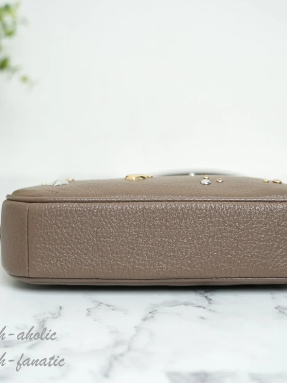 Coach cdc25 nolita