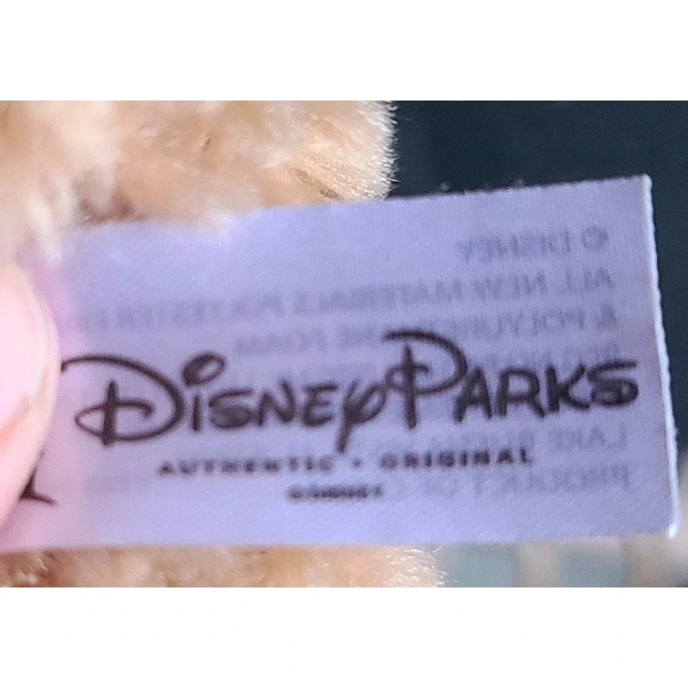 Disney companion review