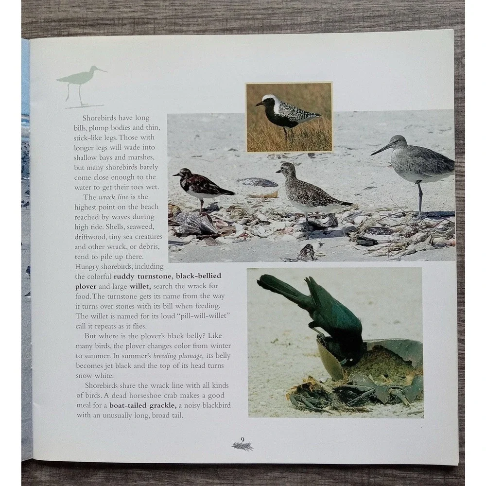 N/A barrier islands