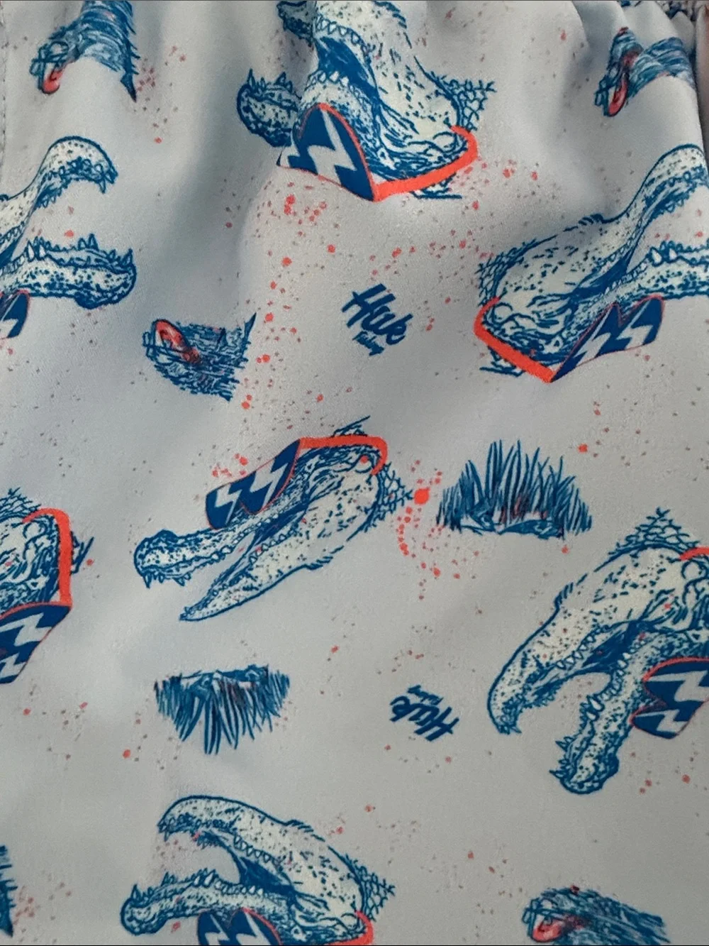 Huk swim shorts