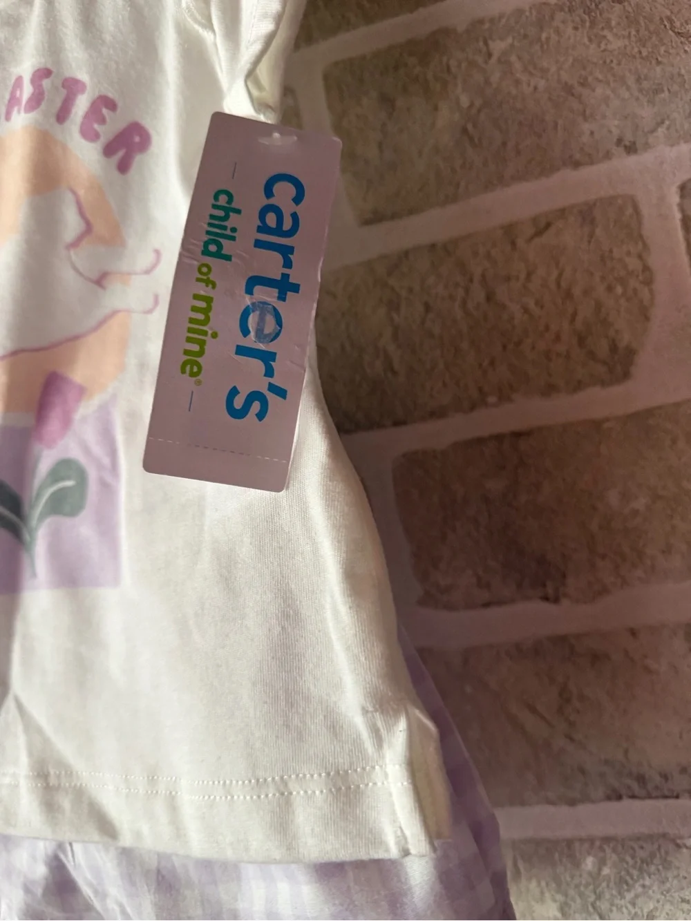 Carter's set gingham