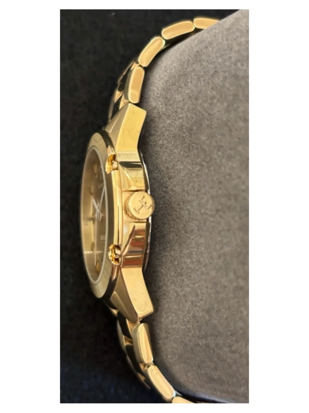 Triwa case watch
