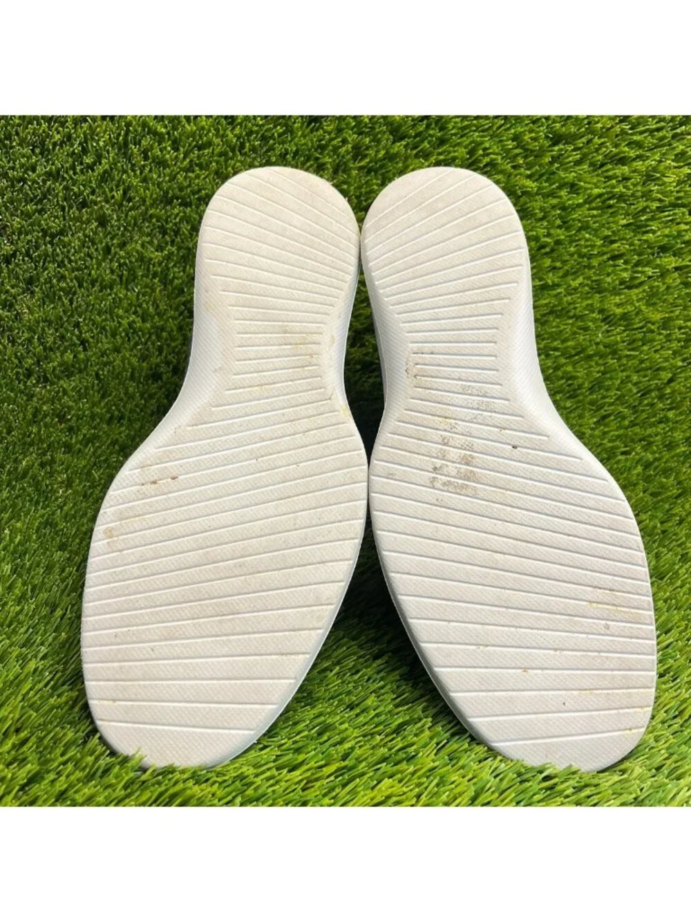 allbirds please review