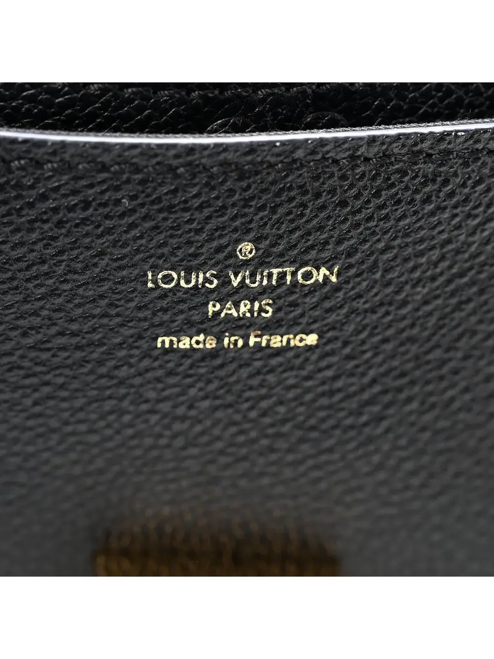 Louis Vuitton introducing louis
