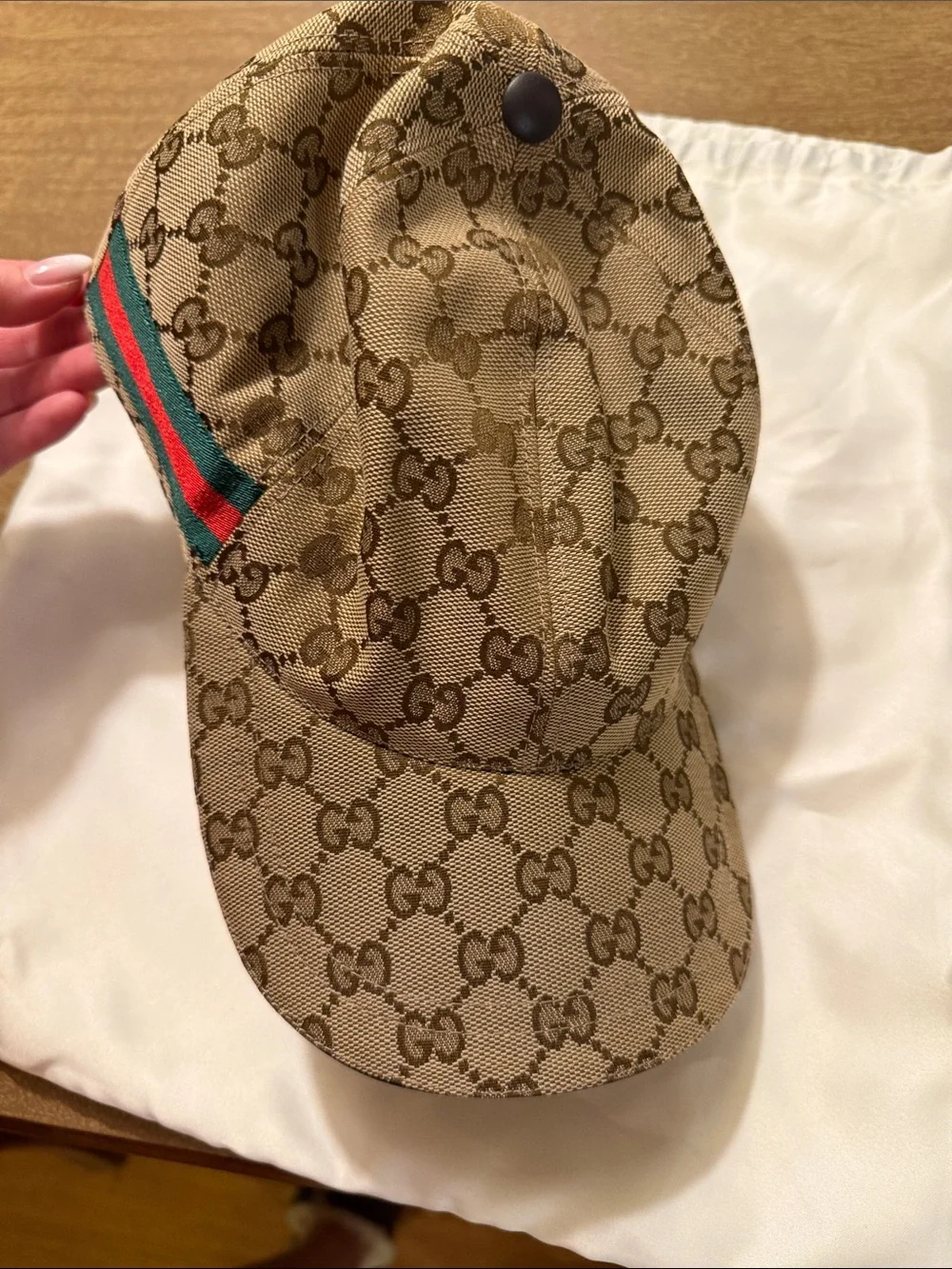 Gucci luxury canvas