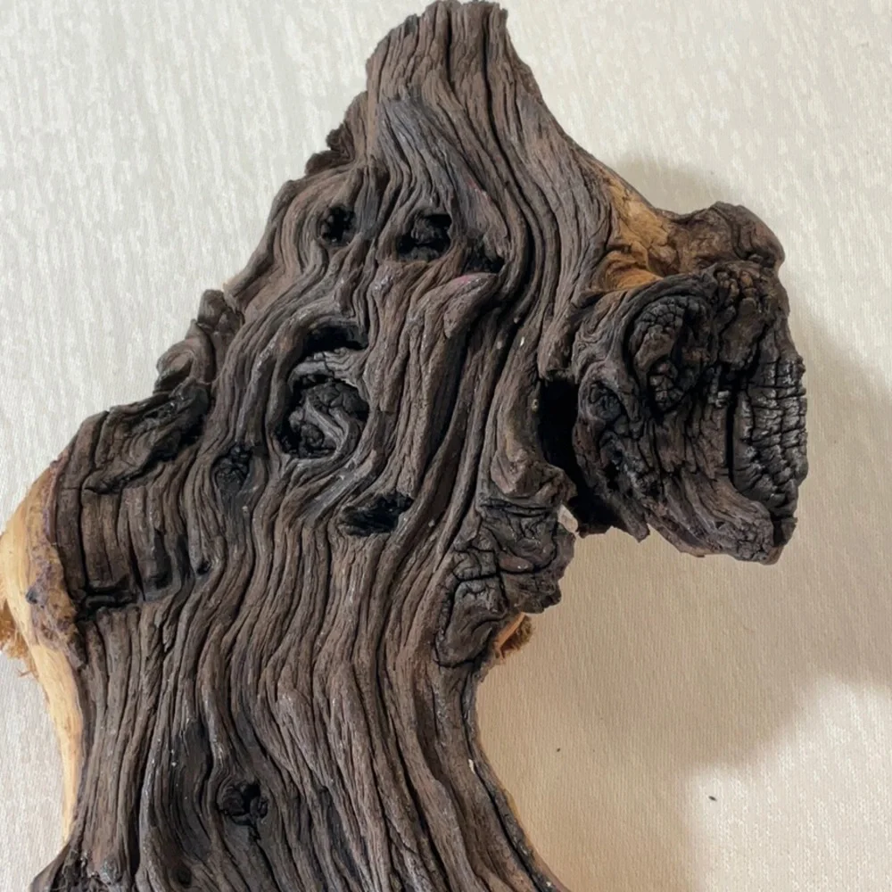 Mopani Wood
