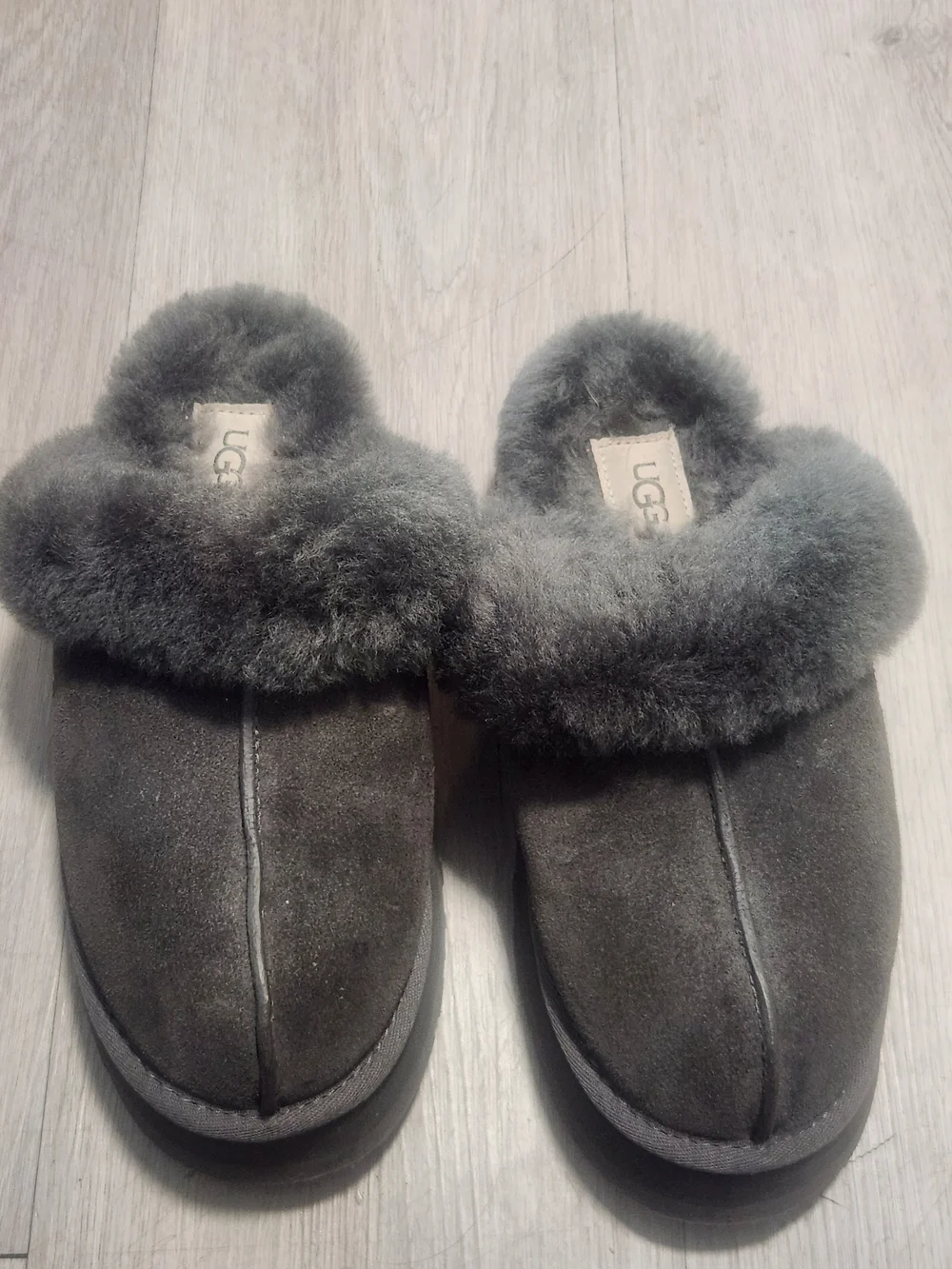 UGG disquette platform
