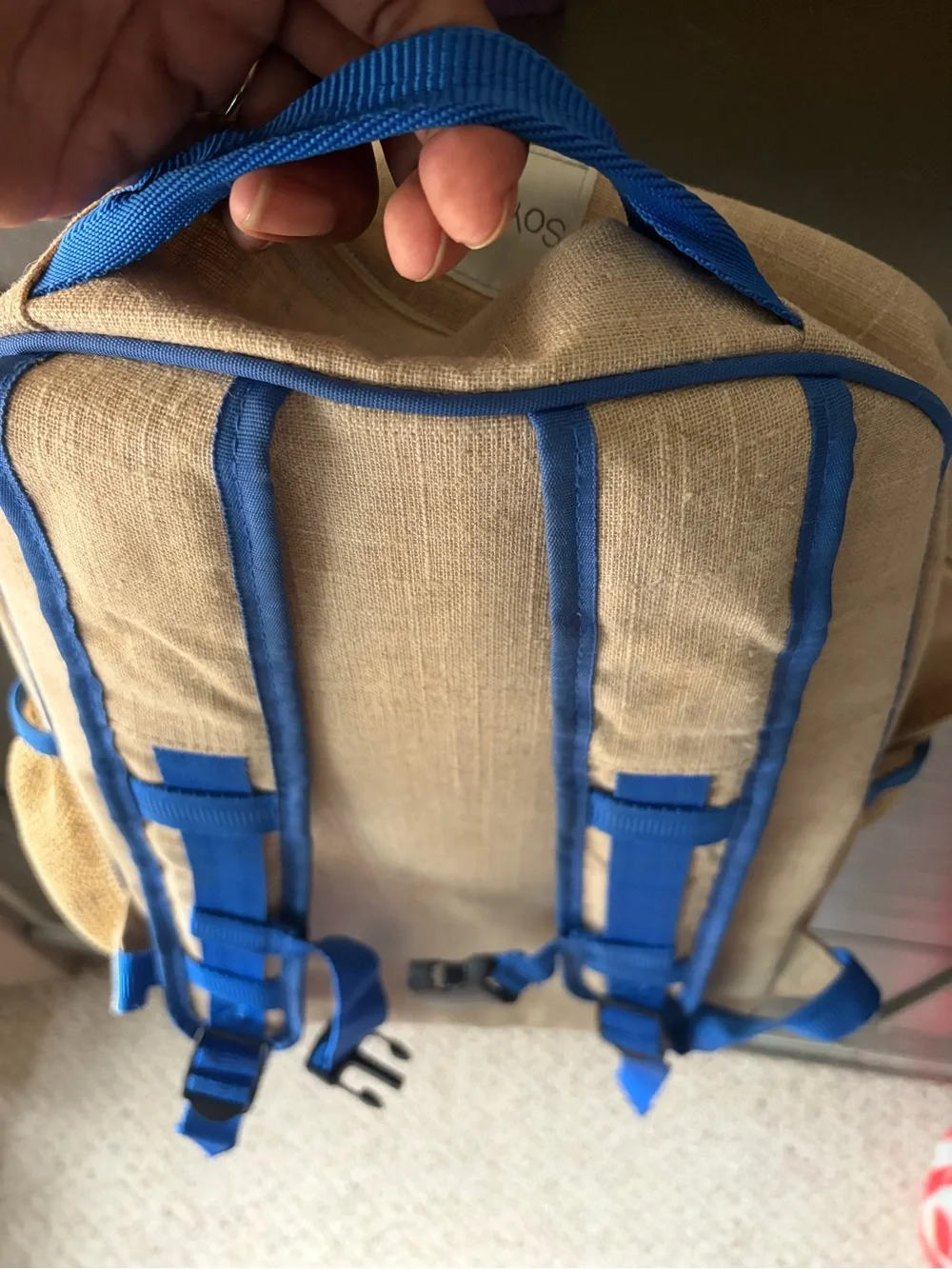 Dinosaur Backpack 🦖🦕