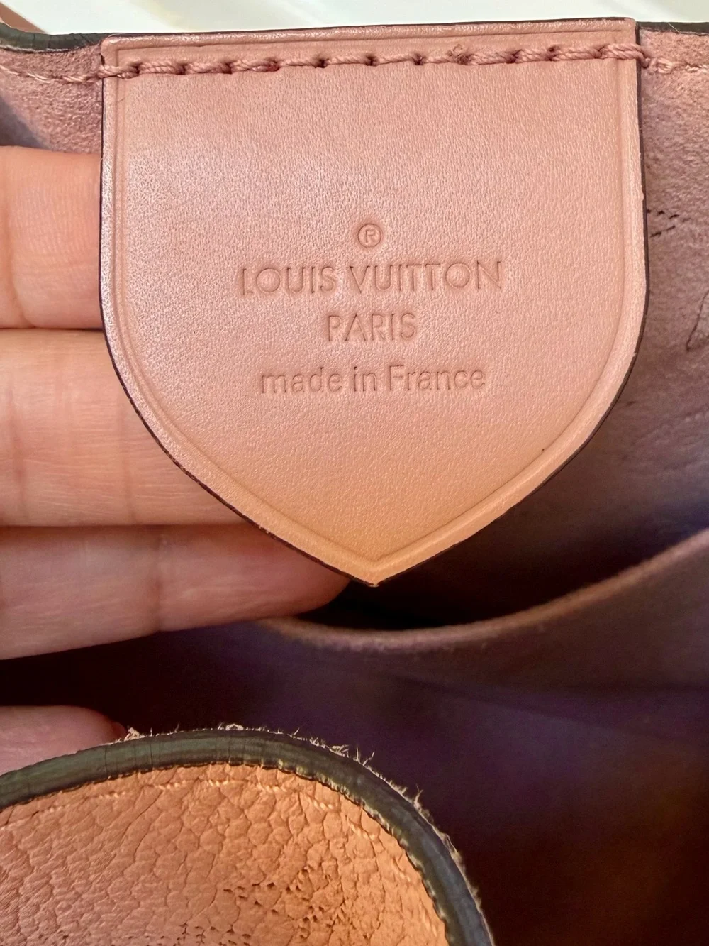 Louis Vuitton stylish louis