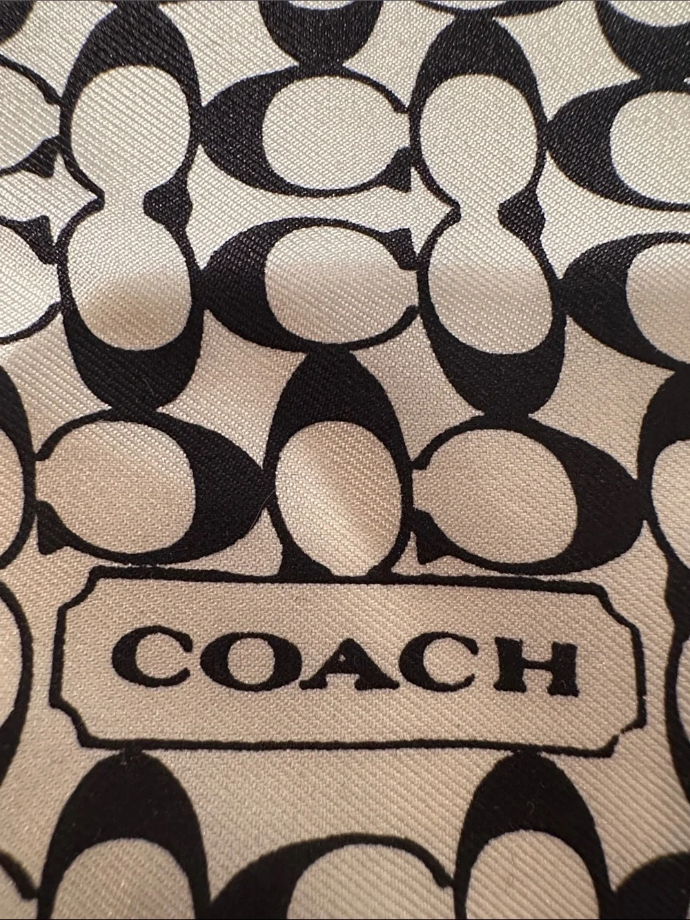 Coach silk scarf