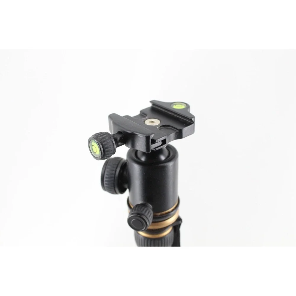 Rangers 56 compact