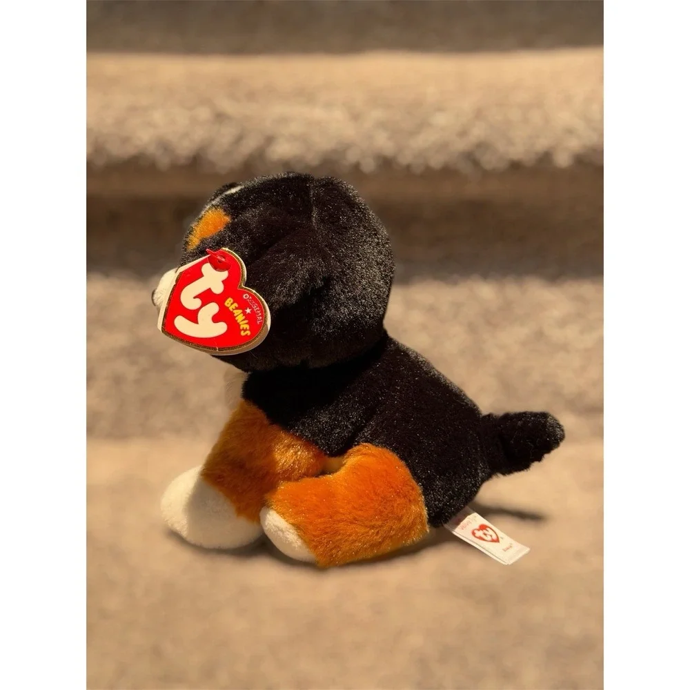 Ty Beanie Baby - ROSCOE the Bernese Mountain Dog (6 Inch) NEW MWMTs Stuffed Toy