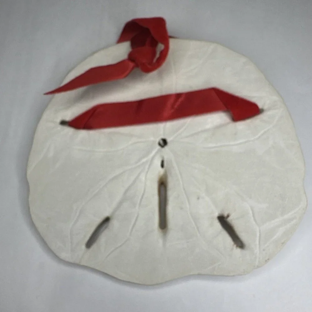 Vintage decorative sand dollar shell Christmas ornament‎ 4” diameter