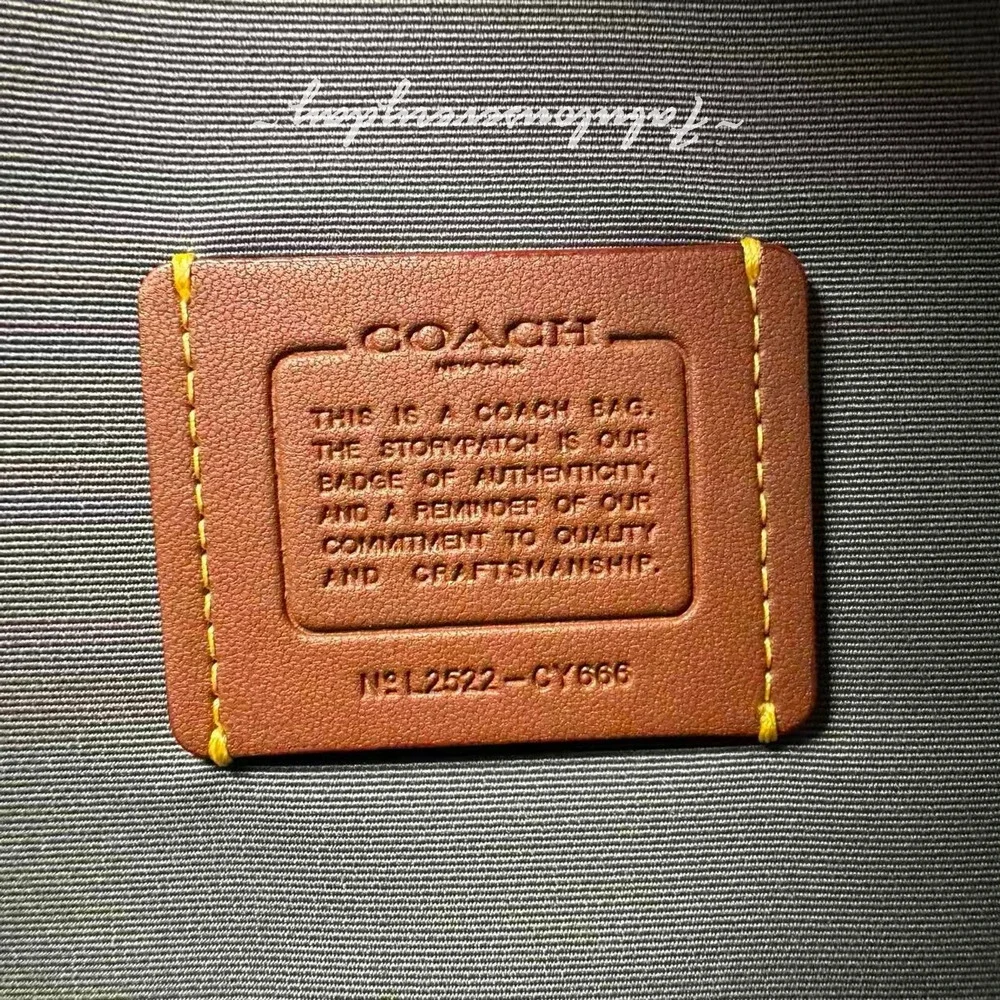 Coach smoke 14 grey