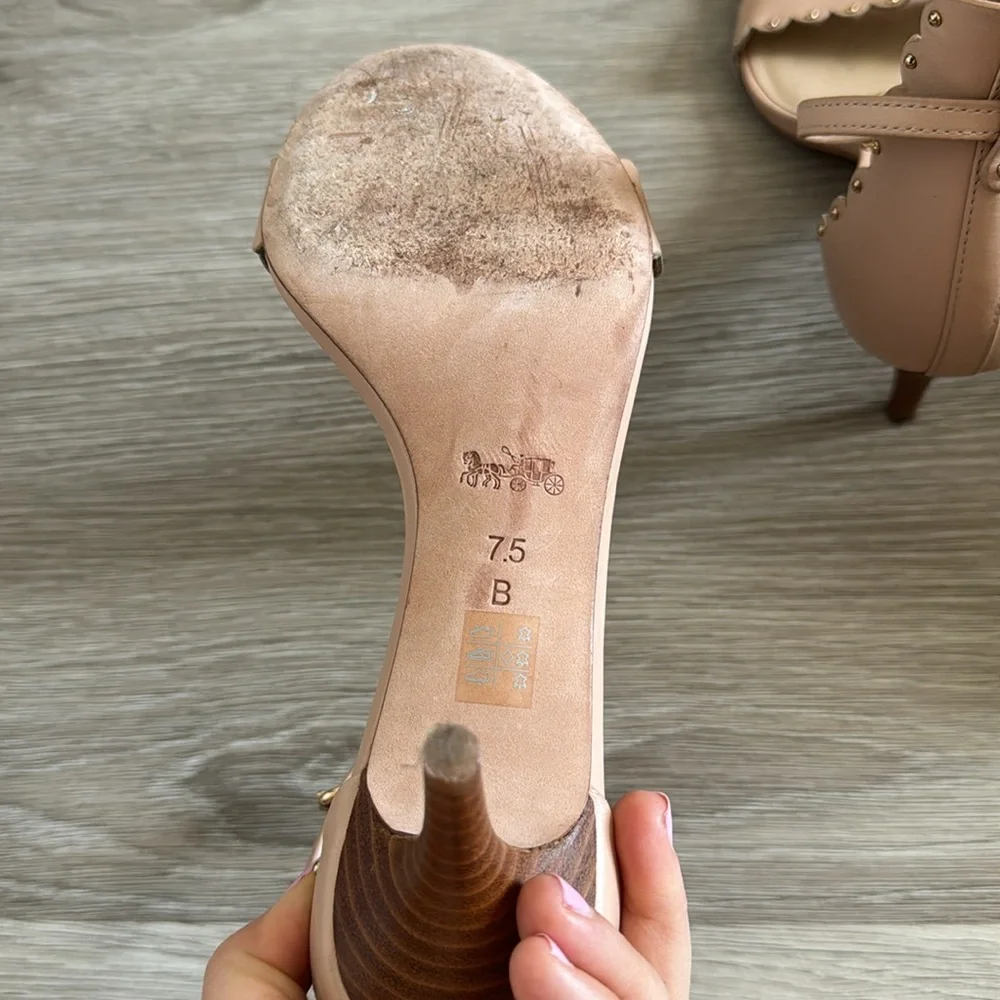 Coach elegant blush