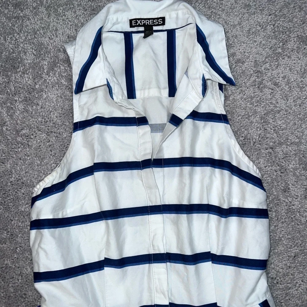 Express fit and flare sleeveless collared dress