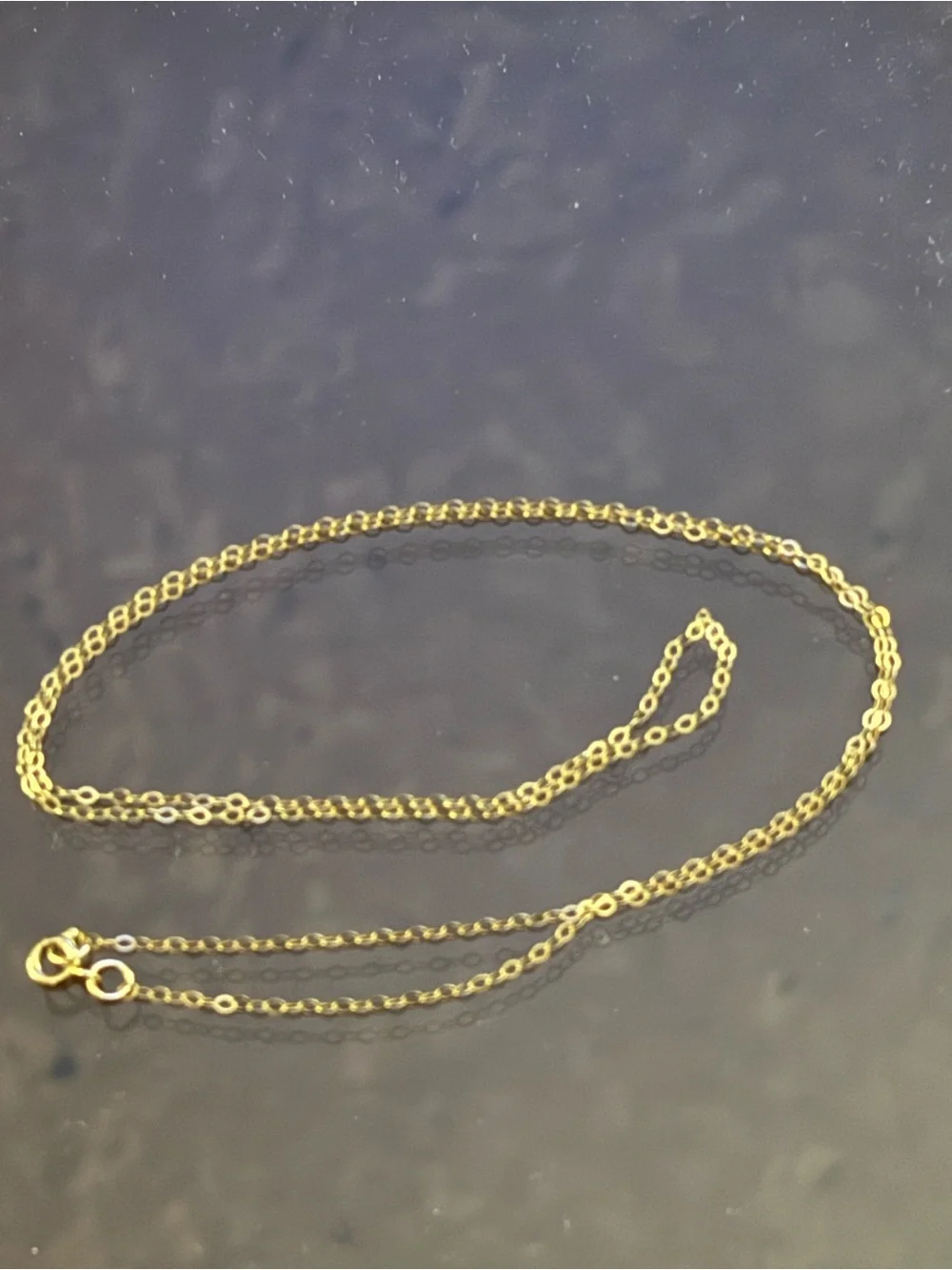 Delicate 10 KT Gold Chain Necklace