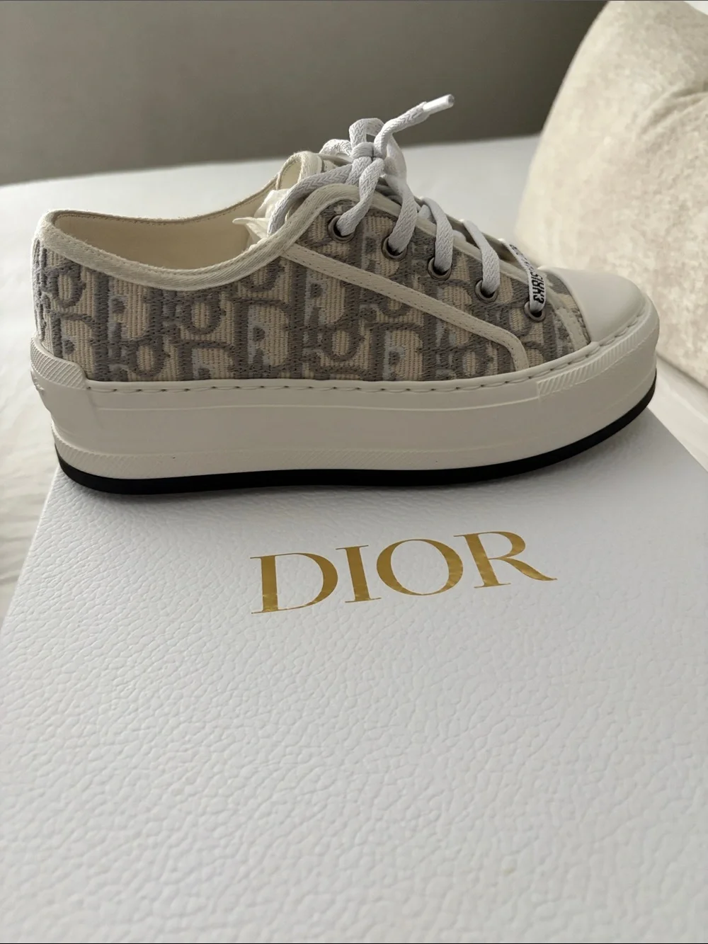 Dior signature oblique