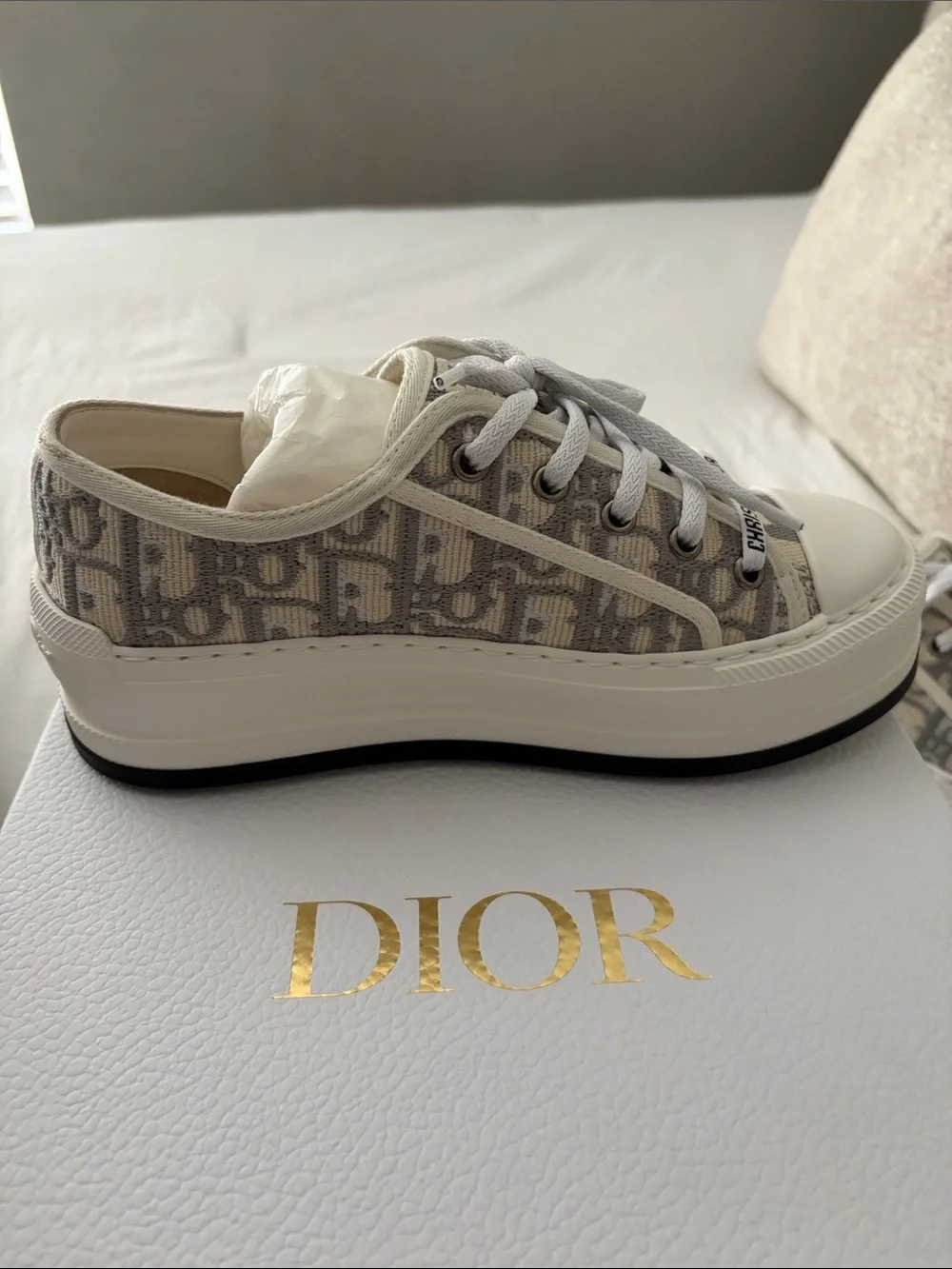 Dior signature oblique