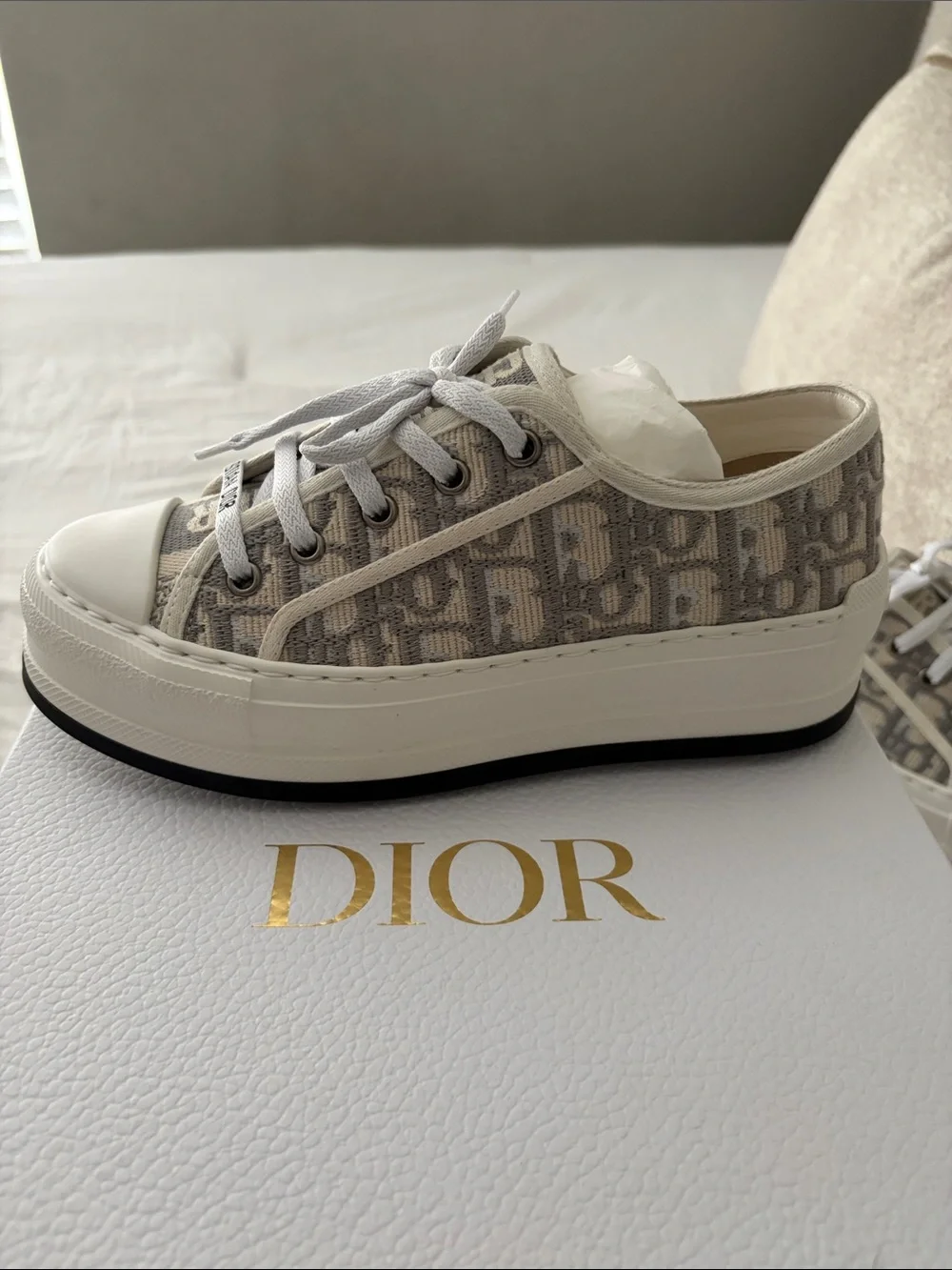 Dior signature oblique